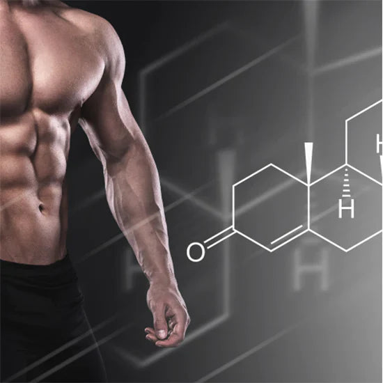 Testosterone supplements available in Whangarei