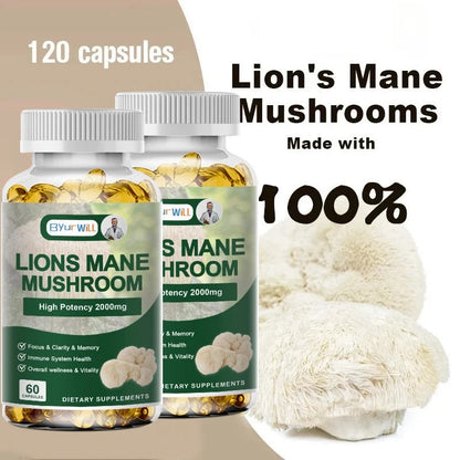 Lion's Mane Mushroom