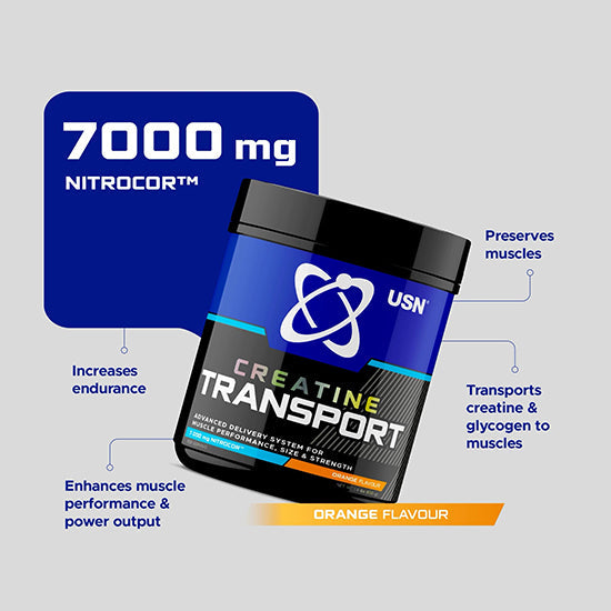 USN® | Creatine Transport